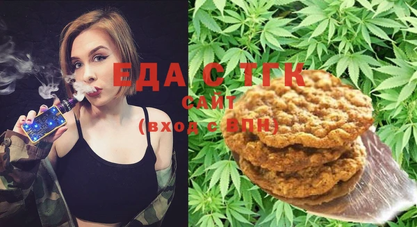 хмурый Арсеньев