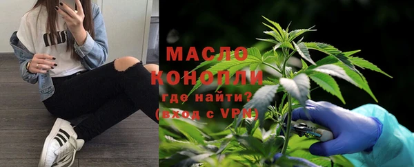 хмурый Арсеньев