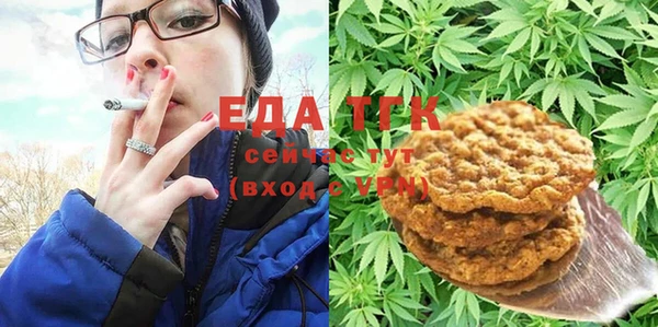 хмурый Арсеньев