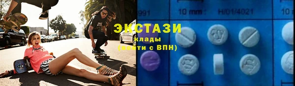 хмурый Арсеньев