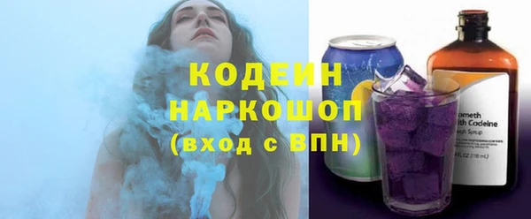 хмурый Арсеньев