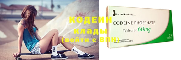 хмурый Арсеньев