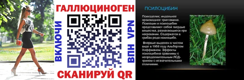 купить Томмот Псилоцибиновые грибы мухоморы