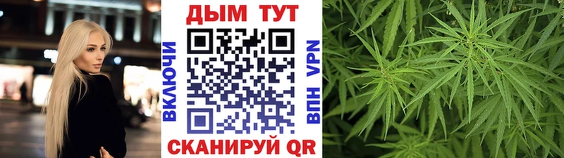 kraken как войти  Томмот  Бошки Шишки Bruce Banner 